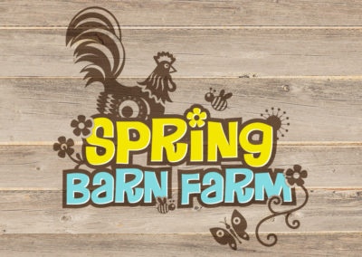 Rare Design: Logo Design & Branding